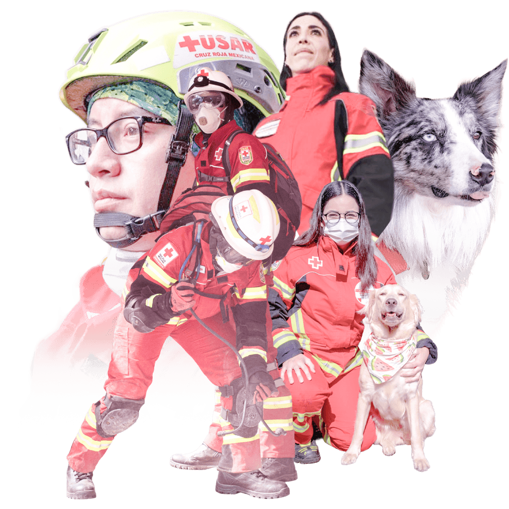 USAR Team